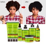 Shampoo Supplier - OEM Ginger Castor Oil Detangling Shampoo