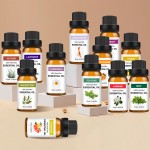 Aloe Vera Gel Factory - 100% Pure Natural Organic Aloe Gel