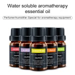 Essential Oil Manufacturer - Private Label Pure Lavender Oil