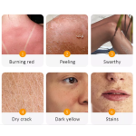 Suncream Supplier - Unscented Grass Fed Tallow Sunscreen