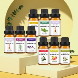 Aloe Vera Gel Factory - 100% Pure Natural Organic Aloe Gel