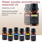 Essential Oil Manufacturer - Private Label Pure Lavender Oil