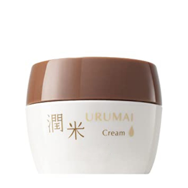 Face Cream Supplier - Wholesale Rice Extract Essence White Cream