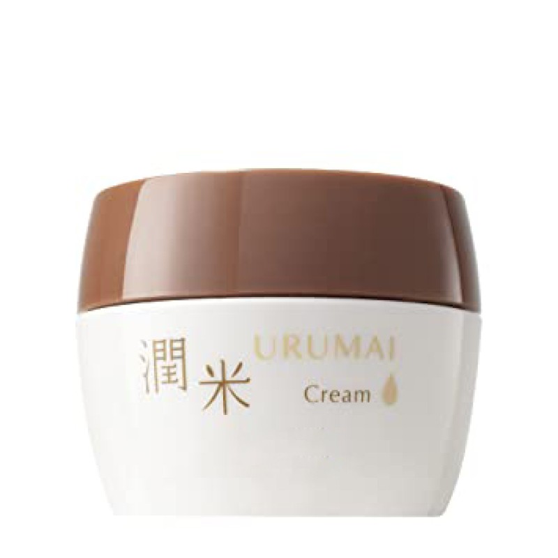 Face Cream Supplier - Wholesale Rice Extract Essence White Cream