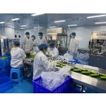 Shampoo Factory - Sea Salt Lemon Peach Extract Natural Shampoo