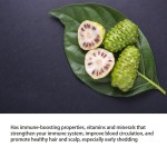 Hair Dye Shampoo Supplier - Ammonia Free Herbal Black Dye