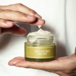 Face Cream Factory - Natural Mugwort Extract Vegan Essence Cream