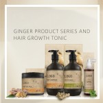Hair Care Set Factory - Wholesale Ginger Growth Shampoo Conditioner