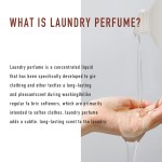 Laundry Perfume Factory - 300ml Dark Nights Washing Perfume