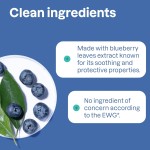 Hand Wash Factory - 295ml Blueberry Foaming Natural Hand Wash