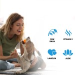 Pet Wipes Factory - 100 Sheets Paw Wet Wipes Strong Absorbent