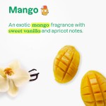 Shampoo Wash Factory - 2-in-1 Mango Scent Plant Mineral Gel