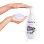 Body Wash Supplier - 250ml Berry Smoothie Moisturizing Foam Wash