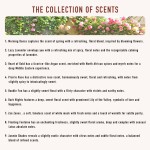 Laundry Perfume Supplier - 300ml Prairie Rose Fragrance Liquid