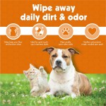 Pet Wipes Factory - 100 Sheets Paw Wet Wipes Strong Absorbent