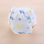 Training Pants Manufacturer - Newborn Breathable Washable Cloth Diaper