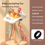Baby Toy Manufacturer - Early Education Swan Pumping Lala Pull String