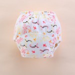 Training Pants Manufacturer - Newborn Breathable Washable Cloth Diaper