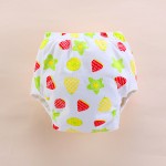 Training Pants Manufacturer - Newborn Breathable Washable Cloth Diaper