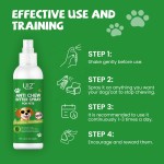 No Chew Spray Factory - Stops Chewing Furniture Training Spray