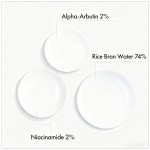 Rice Serum Manufacturer - Alpha Arbutin 2% Uneven Skin Tone