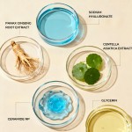 Foundation Supplier - Color Changing Waterproof Non-Greasy Makeup