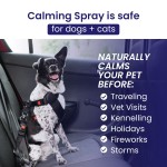 Pet Calming Spray Manufacturer - Anti Anxiety Stress Relief Drug Free