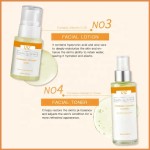 Turmeric Skin Care Set Factory - Private Label Serum Cream Toner Mask