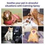 Pet Calming Spray Manufacturer - Anti Anxiety Stress Relief Drug Free