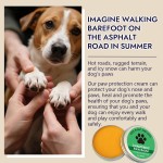 Pet Claw Balm Supplier - Organic Lick Safe Protect Heal