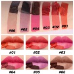 Lip Stain Manufacturer - Peel Off Wholesale Matte Tattoo Tint
