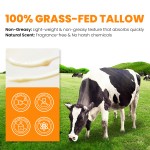 Face Cream Factory - 100% Natural Grass Fed Beef Tallow Honey