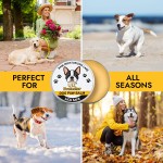 Pet Paw Balm Manufacturer - Moisturizing Foot Protector Cracked