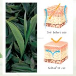 Tea Tree Oil Cream Manufacturer - OEM/ODM Wholesale Private Label Organic Anti Acne