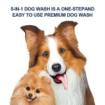 Dry Pet Shampoo Manufacturer - OEM/ODM Private Label Natural Ingredient No Rinse Foam