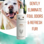 Pet Paw Balm Manufacturer - OEM/ODM Private Label OEM Organic Natural Wax Heals