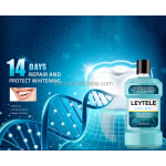 Whitening Toothpaste Manufacturer - OEM/ODM 2023 Hot Selling OEM Organic Mint Flavor