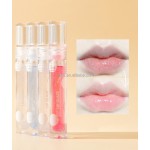 Waterproof Lip Gloss Manufacturer - OEM/ODM OEM Wholesale Private Label Natural Vegan