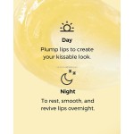 Honey Lip Balm Manufacturer - OEM/ODM Private Label Moisturizing Repairing Non-greasy