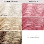 Hair Dye Cream Manufacturer - OEM/ODM Wholesale Professional Ammonia Free Semi Permanent