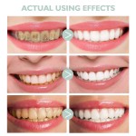 Dog Mouth Wash Manufacturer - OEM/ODM Private Label OEM Healthy Relieve Organic