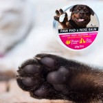 Pet Mouthwash Manufacturer - OEM/ODM Dogs Care Dental Use Disinfect Cleaning