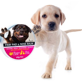 Pet Mouthwash Manufacturer - OEM/ODM Dogs Care Dental Use Disinfect Cleaning