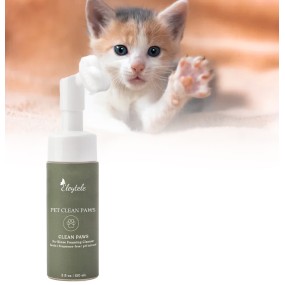 Pet Toilet Training Spray Manufacturer - OEM/ODM Wholesale Attract Dog Props Cat Potty