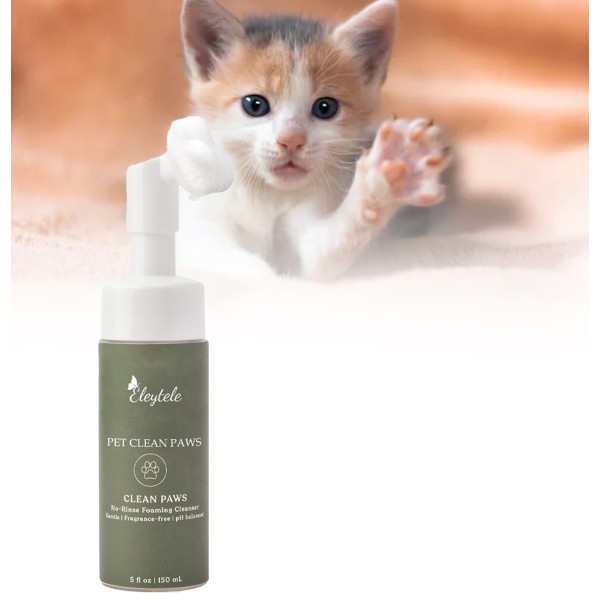 Pet Toilet Training Spray Manufacturer - OEM/ODM Wholesale Attract Dog Props Cat Potty