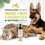 Pet Paw Balm Manufacturer - OEM/ODM Private Label Natural Protection Soother Custom