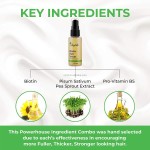 After Sun Balm Manufacturer - OEM/ODM Soothing SPF 50 Sunburn Relief Lotion Repairing