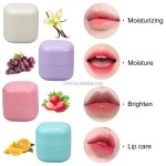 Ball Lip Balm Manufacturer - OEM/ODM Private Label Natural Fruit Flavor Promotional