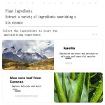 Face Clay Mask Manufacturer - OEM/ODM Custom Private Label Turmeric Green Tea