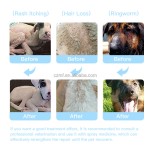 Pet Paw Balm Manufacturer - OEM/ODM Private Label OEM Organic Natural Wax Heals